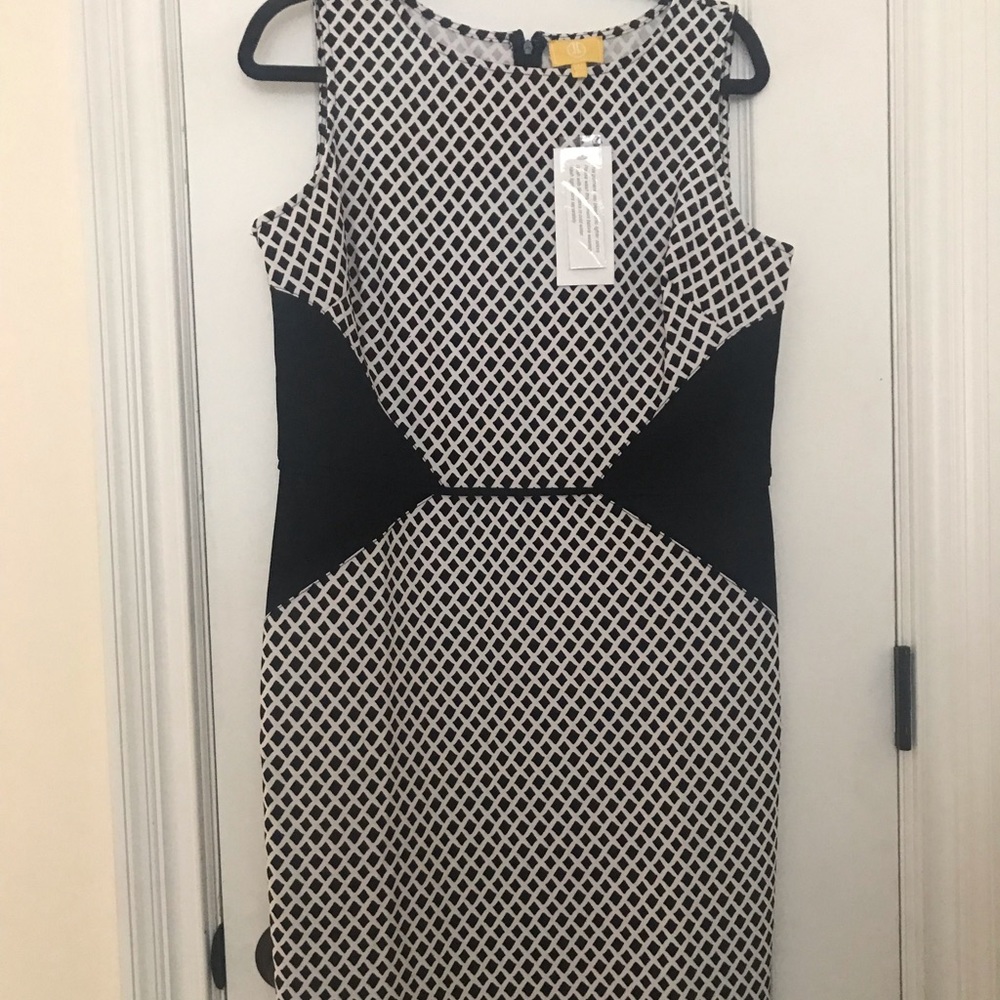 Black and white dress, never worn